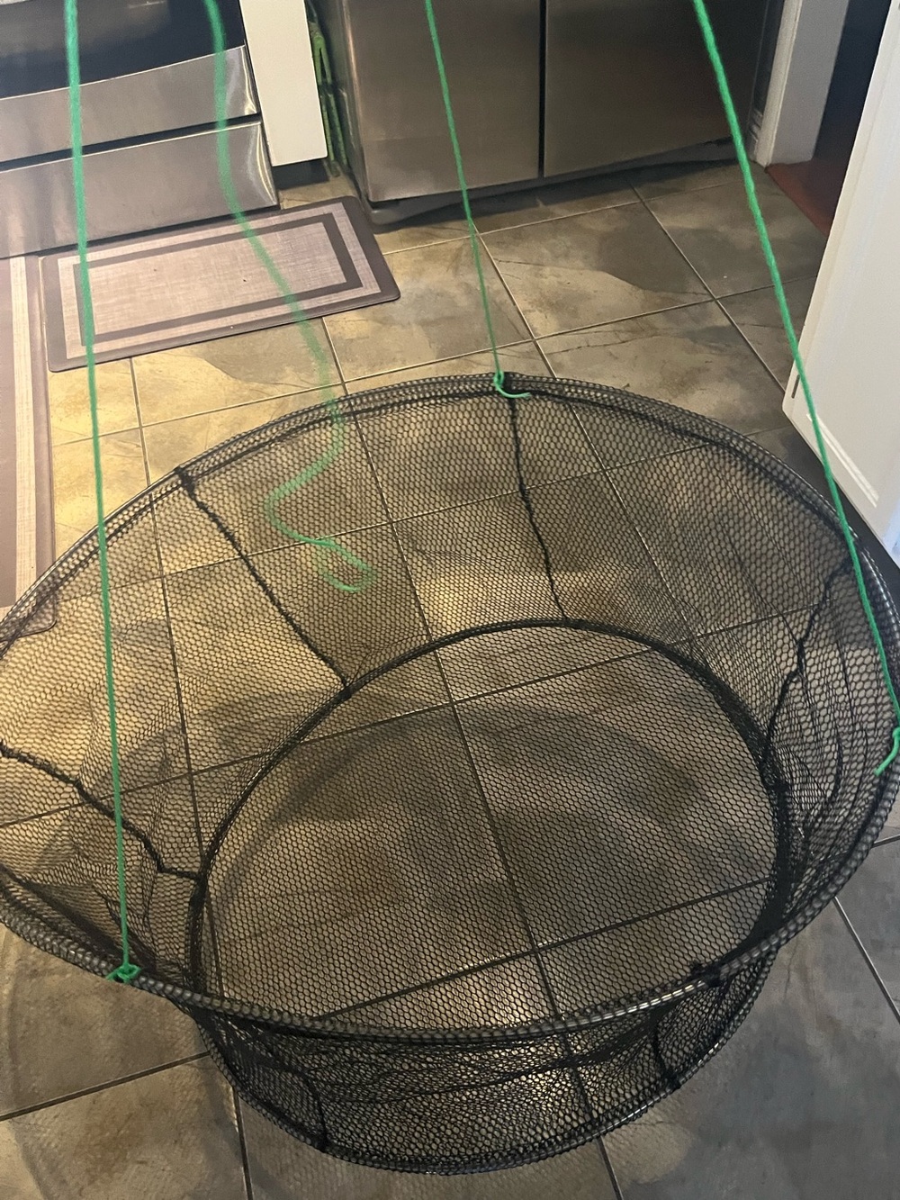 Foldable Fish Catching Net, Hand Cast Cage for fish , Shrimp and Cra